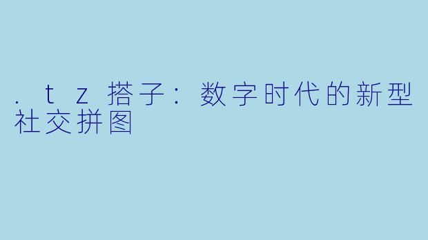 .tz搭子：数字时代的新型社交拼图