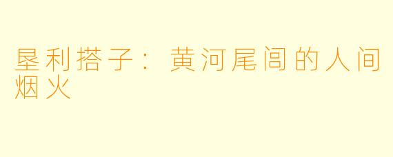 垦利搭子：黄河尾闾的人间烟火