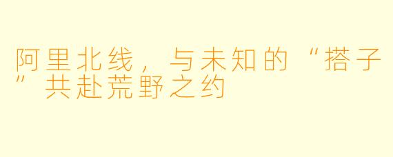 阿里北线，与未知的“搭子”共赴荒野之约
