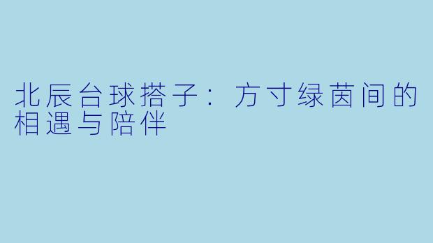 北辰台球搭子：方寸绿茵间的相遇与陪伴
