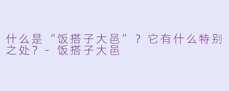 什么是“饭搭子大邑”？它有什么特别之处？-饭搭子大邑