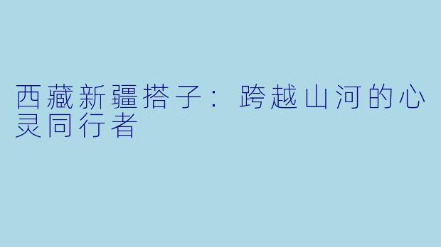 西藏新疆搭子:跨越山河的心灵同行者