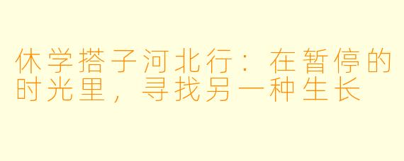 休学搭子河北行:在暂停的时光里,寻找另一种生长