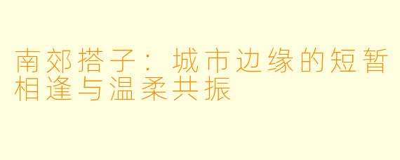 南郊搭子：城市边缘的短暂相逢与温柔共振