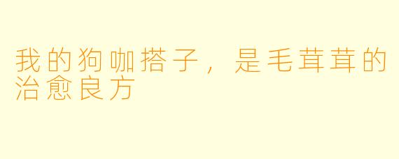 我的狗咖搭子，是毛茸茸的治愈良方