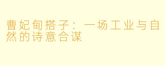 曹妃甸搭子:一场工业与自然的诗意合谋