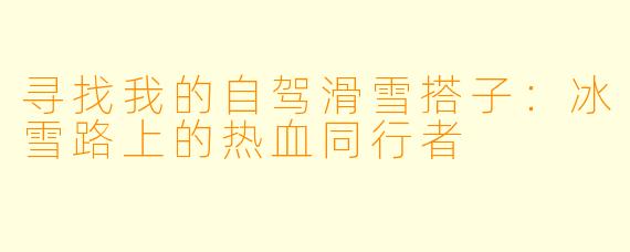 寻找我的自驾滑雪搭子:冰雪路上的热血同行者