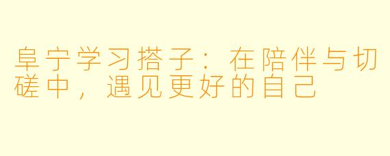阜宁学习搭子：在陪伴与切磋中，遇见更好的自己