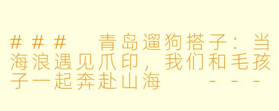 ###
青岛遛狗搭子:当海浪遇见爪印,我们和毛孩子一起奔赴山海
---