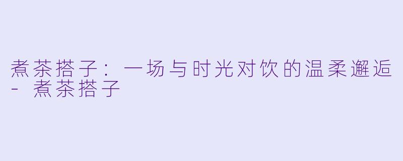 煮茶搭子：一场与时光对饮的温柔邂逅-煮茶搭子