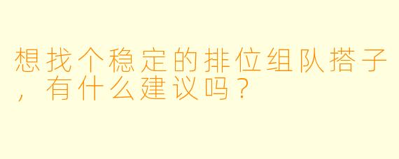 想找个稳定的排位组队搭子，有什么建议吗？