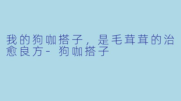 我的狗咖搭子，是毛茸茸的治愈良方-狗咖搭子