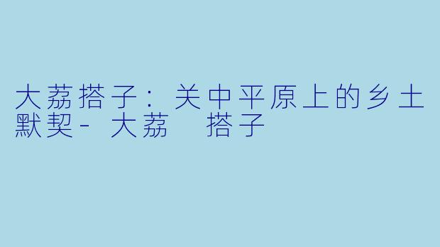 大荔搭子：关中平原上的乡土默契-大荔 搭子