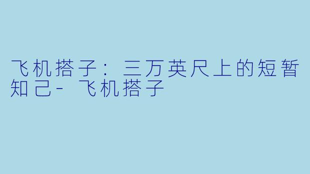 飞机搭子:三万英尺上的短暂知己