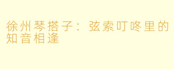 徐州琴搭子：弦索叮咚里的知音相逢