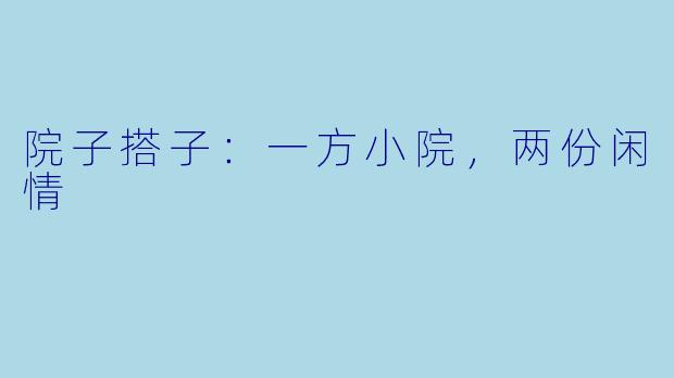 院子搭子:一方小院,两份闲情
