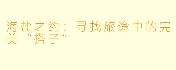 海盐之约:寻找旅途中的完美“搭子”