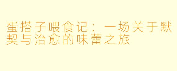 蛋搭子喂食记:一场关于默契与治愈的味蕾之旅