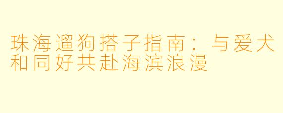 珠海遛狗搭子指南：与爱犬和同好共赴海滨浪漫