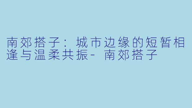 南郊搭子：城市边缘的短暂相逢与温柔共振-南郊搭子