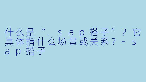 什么是“.sap搭子”？它具体指什么场景或关系？-sap搭子