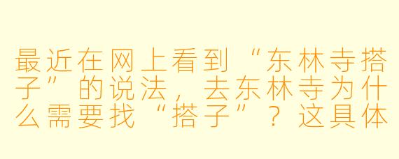 最近在网上看到“东林寺搭子”的说法，去东林寺为什么需要找“搭子”？这具体是指什么？