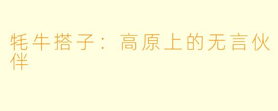 牦牛搭子:高原上的无言伙伴