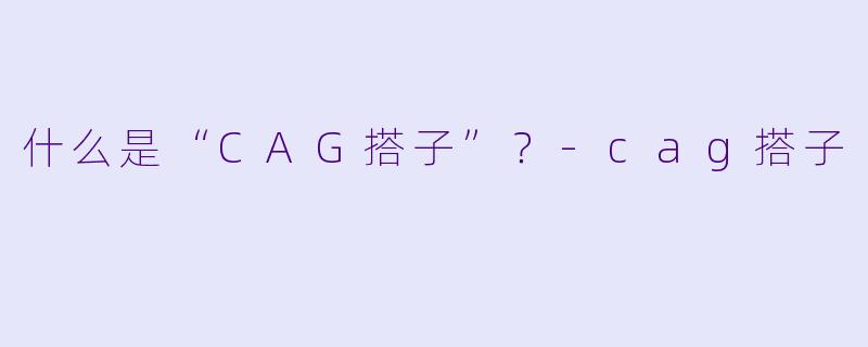 什么是“CAG搭子”？-cag搭子