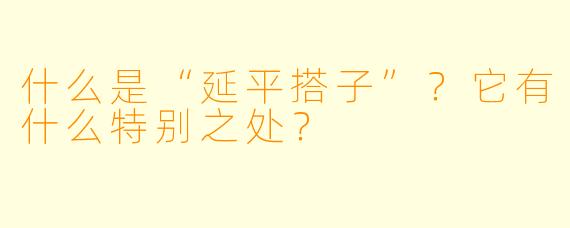 什么是“延平搭子”？它有什么特别之处？