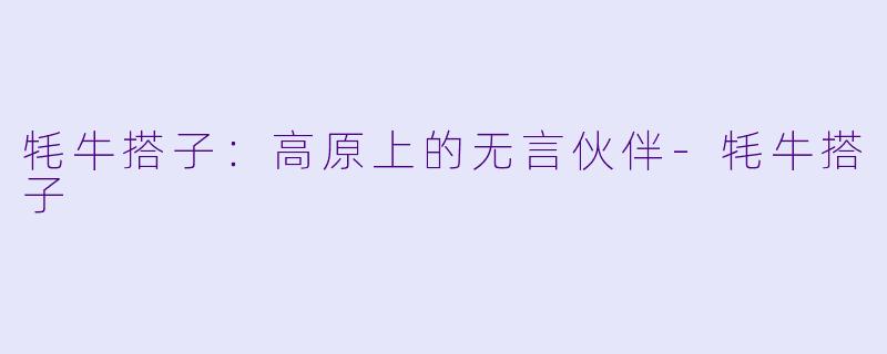 牦牛搭子:高原上的无言伙伴-牦牛搭子