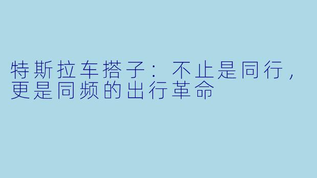 特斯拉车搭子:不止是同行,更是同频的出行革命