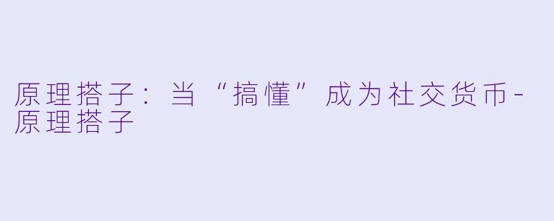 原理搭子：当“搞懂”成为社交货币-原理搭子