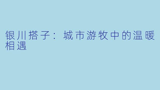 银川搭子：城市游牧中的温暖相遇
