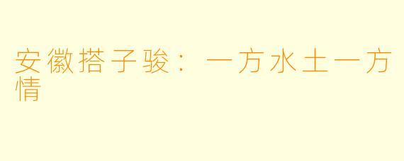安徽搭子骏:一方水土一方情