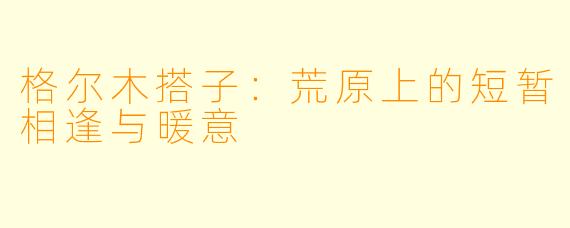 格尔木搭子：荒原上的短暂相逢与暖意