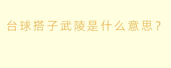 台球搭子武陵是什么意思？