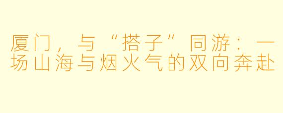 厦门,与“搭子”同游:一场山海与烟火气的双向奔赴