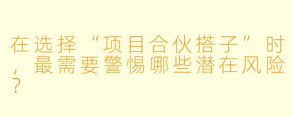 在选择“项目合伙搭子”时，最需要警惕哪些潜在风险？