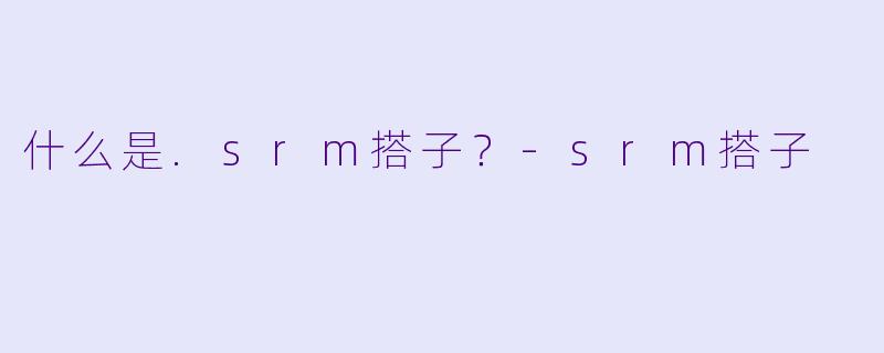 什么是.srm搭子？-srm搭子