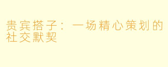 贵宾搭子:一场精心策划的社交默契