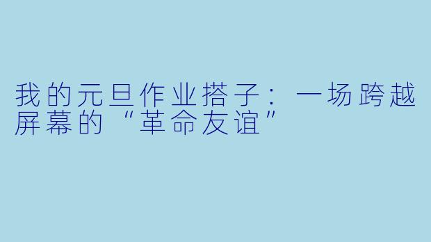 我的元旦作业搭子:一场跨越屏幕的“革命友谊”