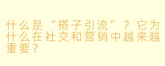什么是“搭子引流”？它为什么在社交和营销中越来越重要？