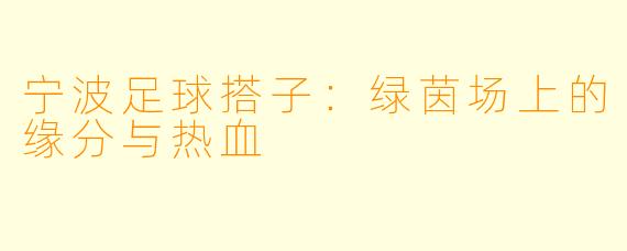 宁波足球搭子：绿茵场上的缘分与热血