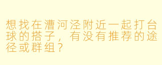 想找在漕河泾附近一起打台球的搭子，有没有推荐的途径或群组？