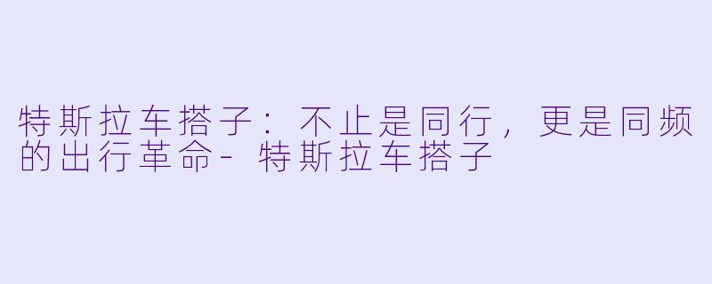 特斯拉车搭子:不止是同行,更是同频的出行革命-特斯拉车搭子