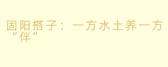 固阳搭子：一方水土养一方“伴”