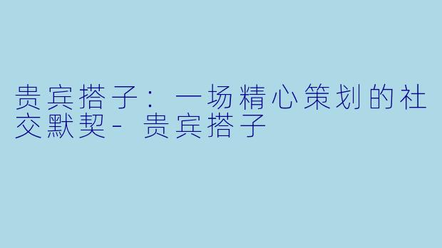 贵宾搭子:一场精心策划的社交默契-贵宾搭子