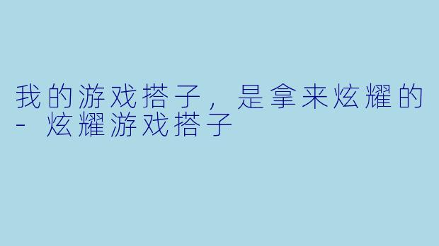我的游戏搭子，是拿来炫耀的-炫耀游戏搭子