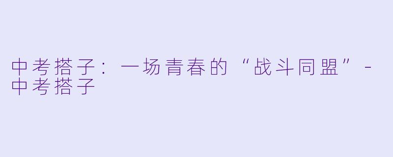 中考搭子：一场青春的“战斗同盟”-中考搭子
