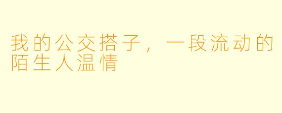 我的公交搭子,一段流动的陌生人温情